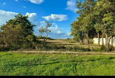 Teren de 2300 mp, în Exterior Vest