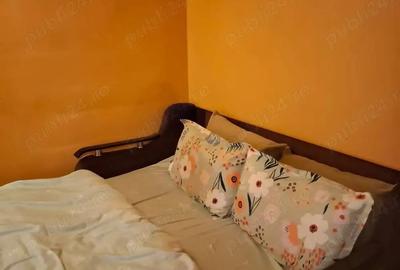 Casa de vanzare , 8 km de Pitesti - 4