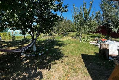 Casă cu 6 camere cu Teren 1196 Mp în Dorobanț - 6