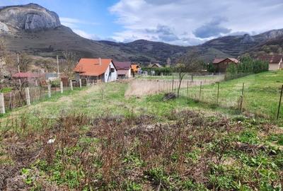 Casa individuala,65 mp,1150 mp teren,Valisoara - 10