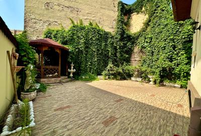 VILĂ INTERBELICĂ CU FARMEC ISTORIC – GRĂDINA ICOANEI - 8
