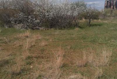 Vanzare proprietate industriala - 88.644mp Caracal si Comuna Plesoiu - Olt - 4