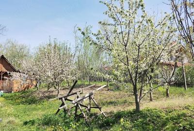Teren de 1400 mp, în Gârbova - 5