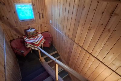 Refugiu montan în Lepșa ,vacanțe și relaxare - 8