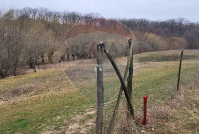 Teren agricol intravilan de 2592 mp, în Lipoveni - 5