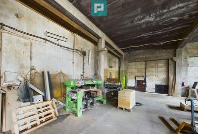 Fabrica de prelucrare a lemnului ?i palului - 3