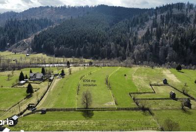 Teren de 8704 mp, în Vatra Moldoviței - 7