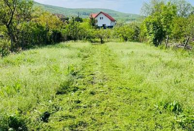 Casă cu 2 camere cu Teren 690 Mp în Petrești - 9