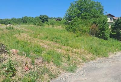 Spațiu comercial, în Central - 1