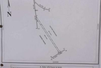 Spațiu comercial, în Brănești - 5