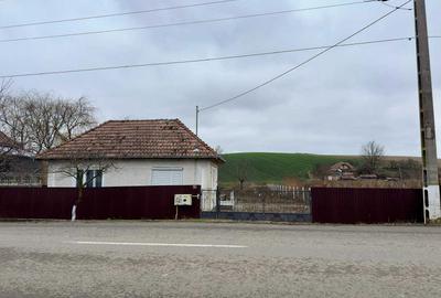 Casă cu 2 camere cu Teren 1000 Mp în Șăulia - 4