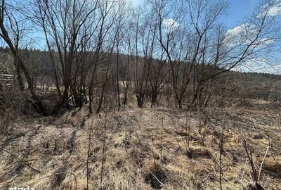 Teren de 2841 mp, în Făget - 2