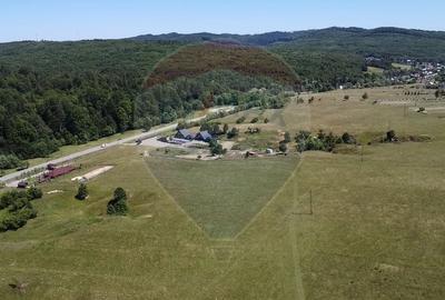 Teren agricol intravilan de 5561 mp, în Păltinoasa - 6