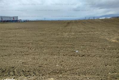 Spațiu comercial, în Dârste - 3