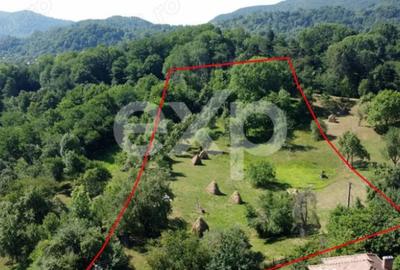 Teren în Corbeni - 2