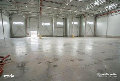 Spațiu comercial, de 3,218 mp, în Gilău - 6