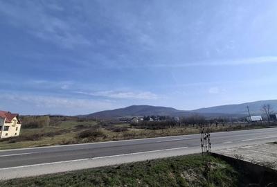 Teren de 14500 mp, în Exterior Vest - 5