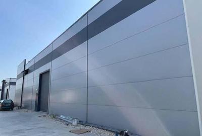 Spatiu depozitare si productie Mogosoaia - 1