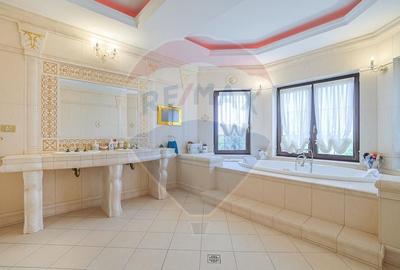 Vanzare/ Inchiriere Vila de lux pe malul lacului Buftea Vanzare/ Inchiriere Vila de lux pe malul lacului Buftea - 14