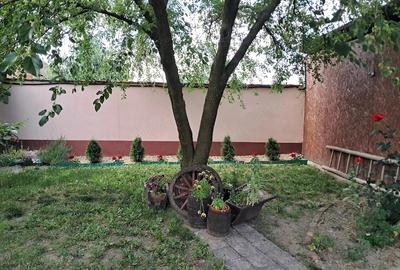 Casă cu Teren 2049 Mp în Bazoș - 13
