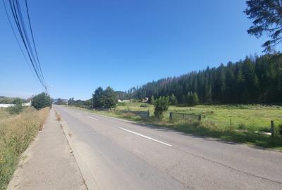 Teren, Ideal pentru Investitie Sau Dezvoltare - 36