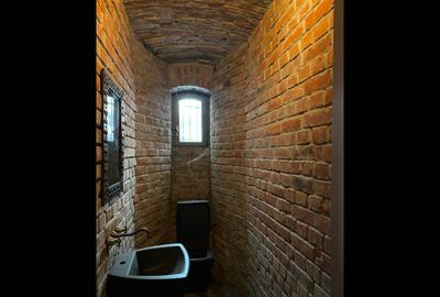 Imobil de Inchiriat Armeneasca - 8