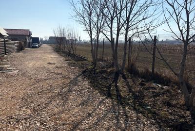 Teren Construcții intravilan de 6000 mp, în Stupini - 7