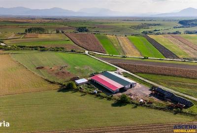 Teren de 18000 mp, în Feldioara - 2