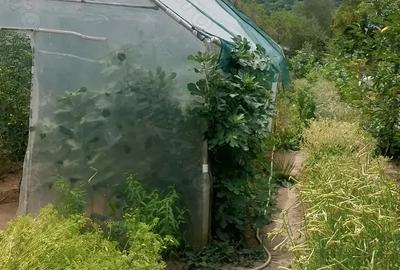 Proprietar vand vila. - 2