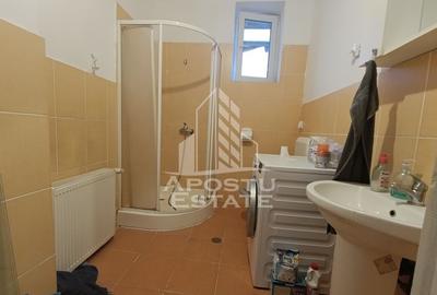 Casa individuala + garaj si anexa, oportunitate investitie, Sagului! - 23