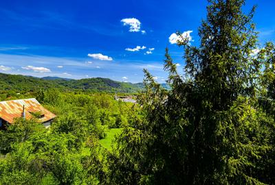 Casă individuală cu 14 camere cu Canalizare în Capul Câmpului - 12