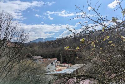 Casă cu 4 camere în Petros - 8