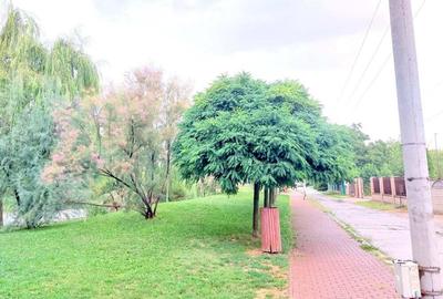 Fraidorf apartament cu doua camere in preajma liceului auto - 2