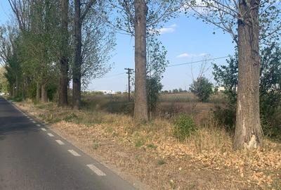 Teren Construcții intravilan de 10000 mp, în Afumați - 1