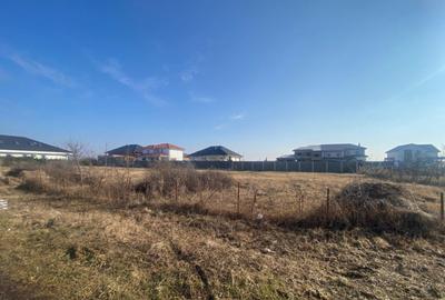 Teren 629 mp cu front stradal de 21 ml- Calea Buziasului Teren 629 mp cu front stradal de 21 ml- Calea Buziasului - 3