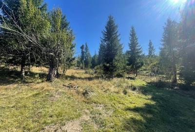 Teren Intravilan | Dealul Negru | Investiție | 1500 mp - 3