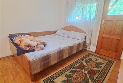 RECO, Cabana pe apa in Padurea Neagra, Bihor - 5