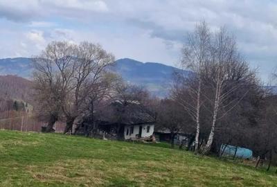 Vând 1000 mp în̈ Moieciu, cu imens potențial investițional Vând 1000 mp în̈ Moieciu, cu imens potențial investițional - 8