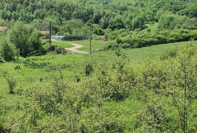 Spațiu comercial, în Crușovița - 4