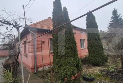 Casă cu 1 camere cu Teren 1306 Mp în Careiului - 8