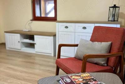 Casă cu 2 camere în Sasca Montană - 4