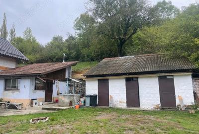 Casă cu 2 camere cu Teren 4000 Mp în Poiana Aiudului - 8