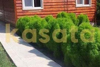 Casa individuala de lemn I Calarasi I Dor Marunt I teren 814 mp - 6