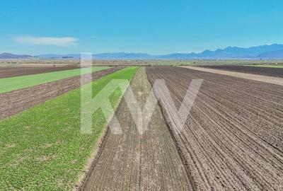 Vanzare teren extravilan agricol Halchiu 15000mp - 2