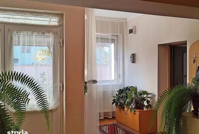 Casă cu 3 camere cu Teren 2826 Mp în Saca - 3