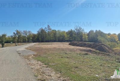 Teren de vanzare, 1500 mp,  platou montan, cu toate utilitatile, zona turistica - 7
