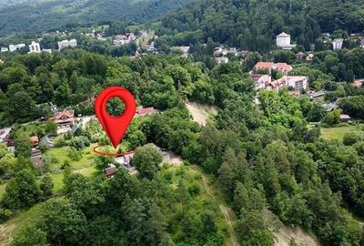 FILM! 1.400 mp teren turistic, Sovata: 800m de Lacul Ursu si 300m de Lacul Negru - 3