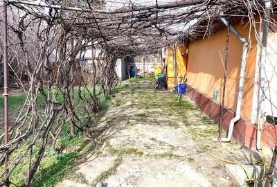 Casă cu 3 camere cu Teren 417 Mp în Prelungirea Ferentari - 4