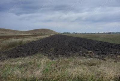 Teren de 7500 mp, în Mărăcineni - 3