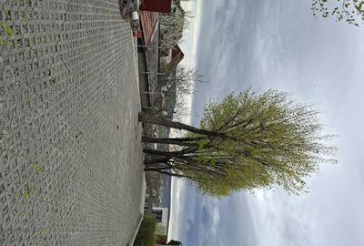 Spațiu comercial, de 635 mp, în Zorilor - 8